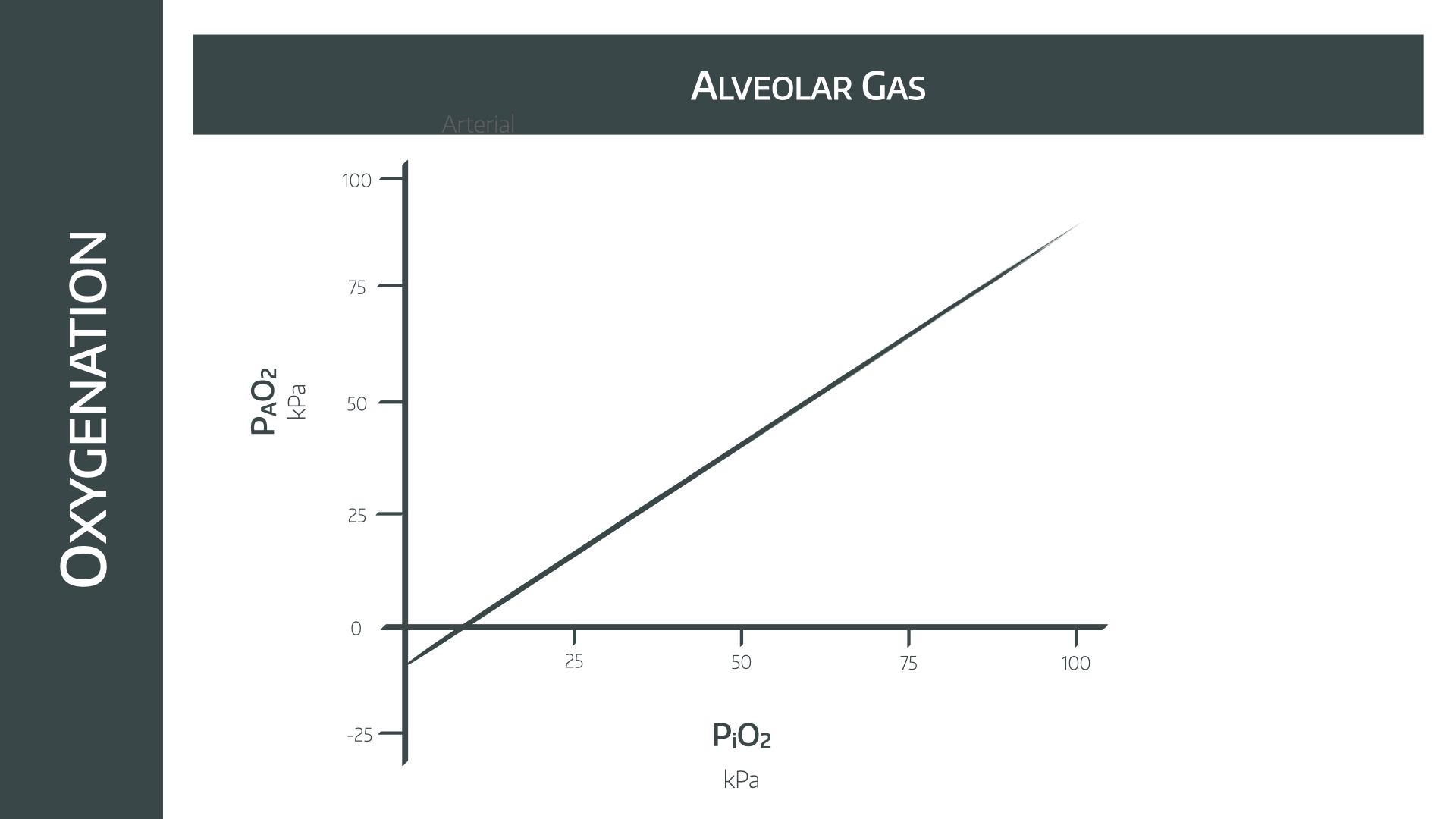Alveolar Gas.002.png