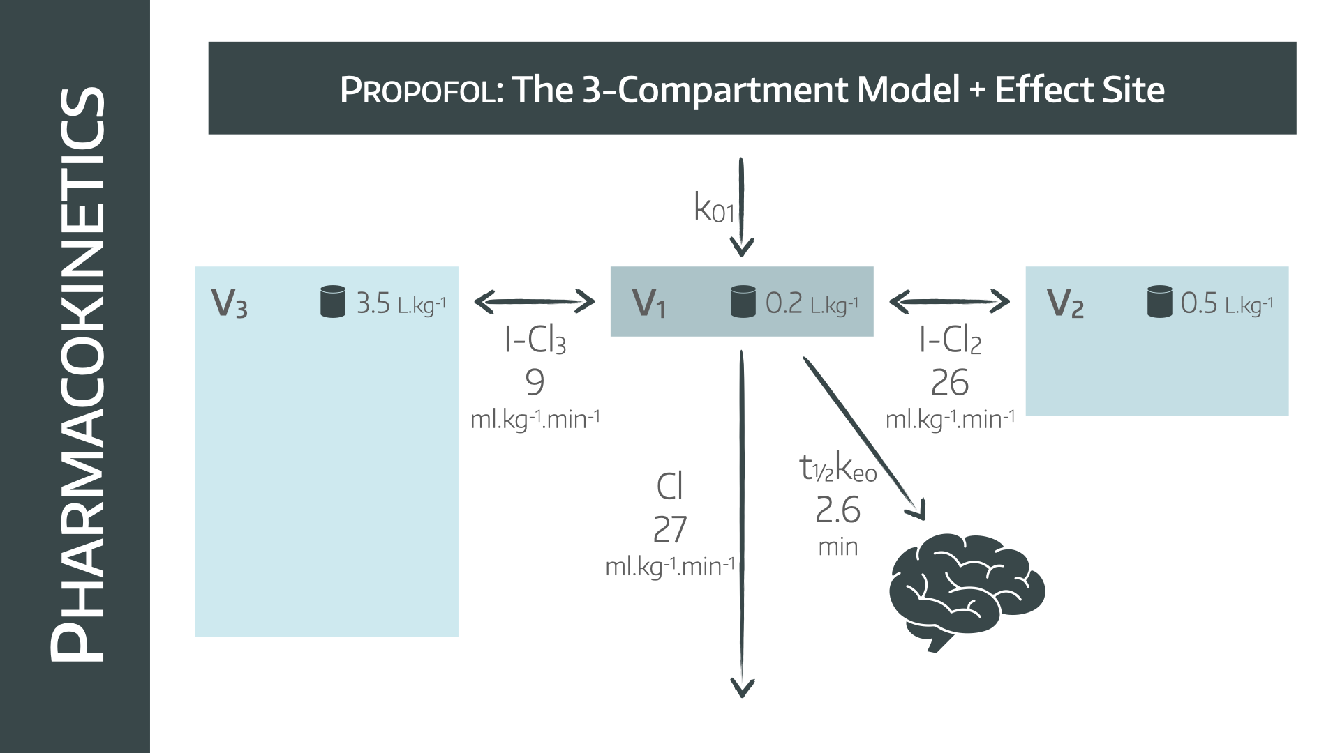 3 Compartments Propofol.001.png