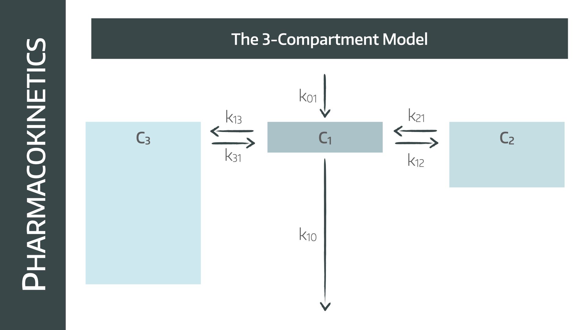 3 compartment model.001.jpeg