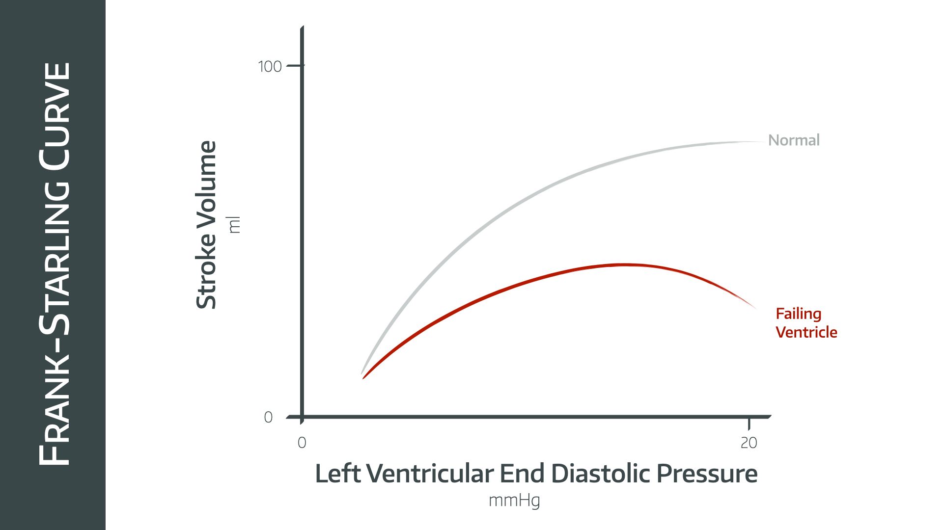 Pressure Waveforms and Cardiac Output