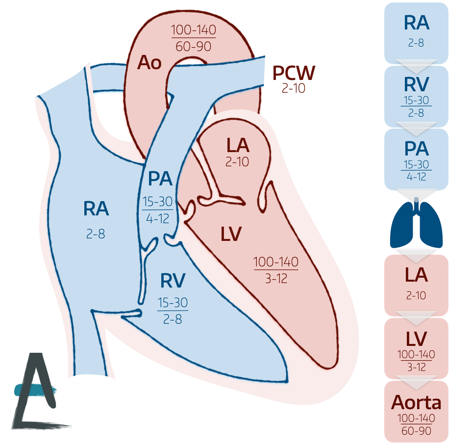 Pressure Waveforms and Cardiac Output