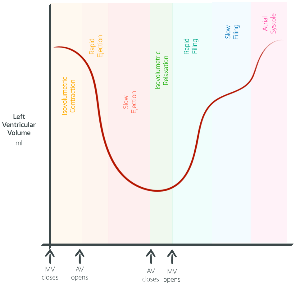 Pressure Waveforms and Cardiac Output