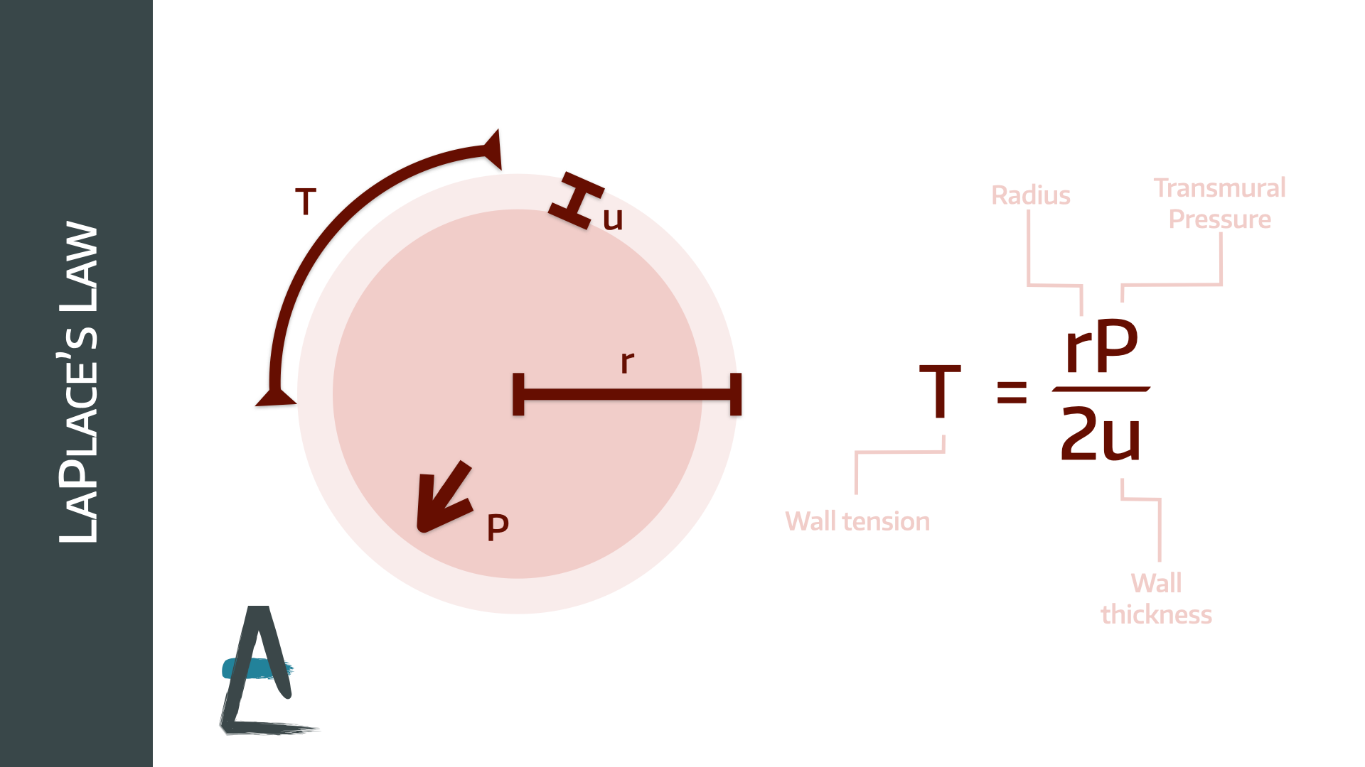 Pressure Waveforms and Cardiac Output