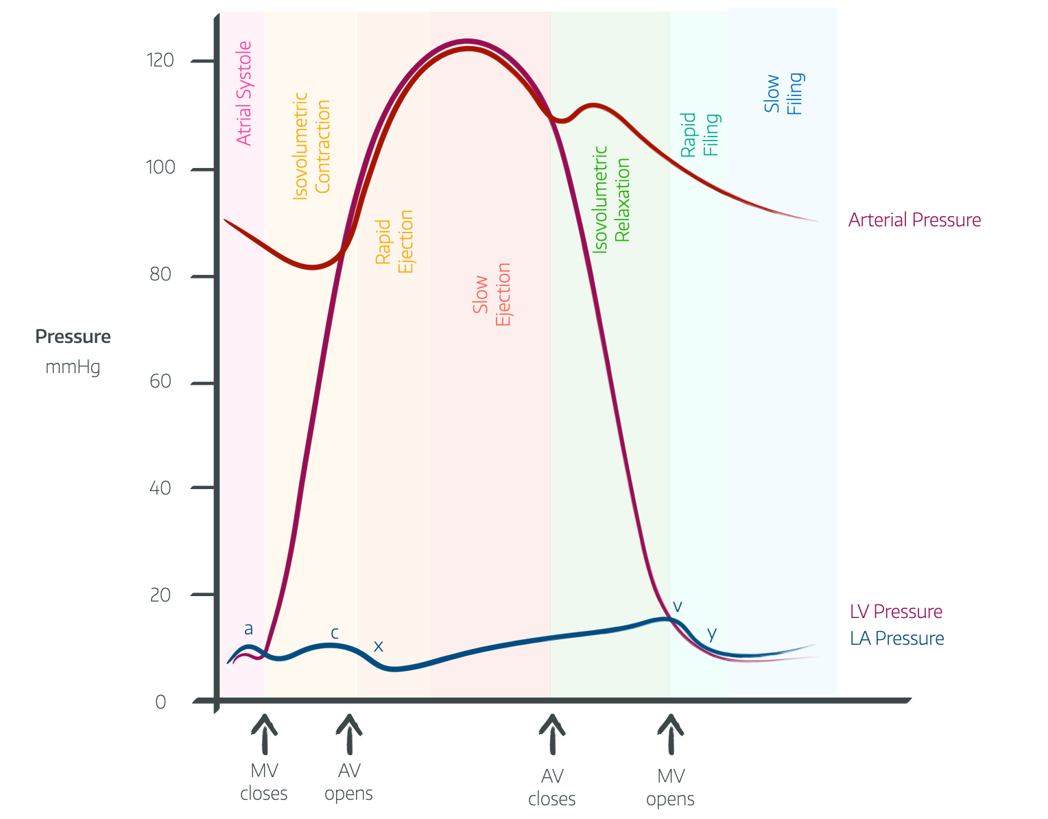 Pressure Waveforms and Cardiac Output