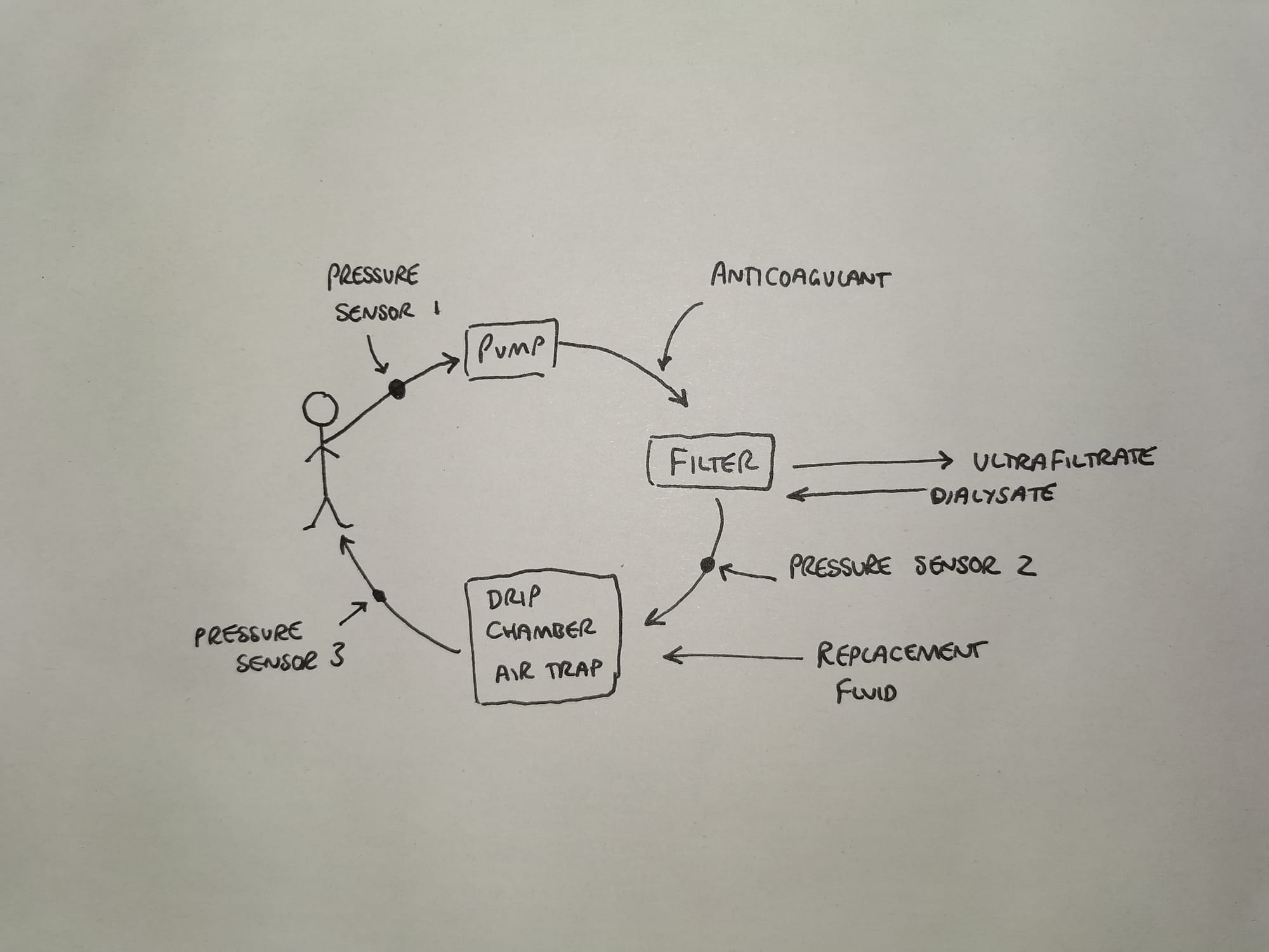 Renal Replacement Therapy