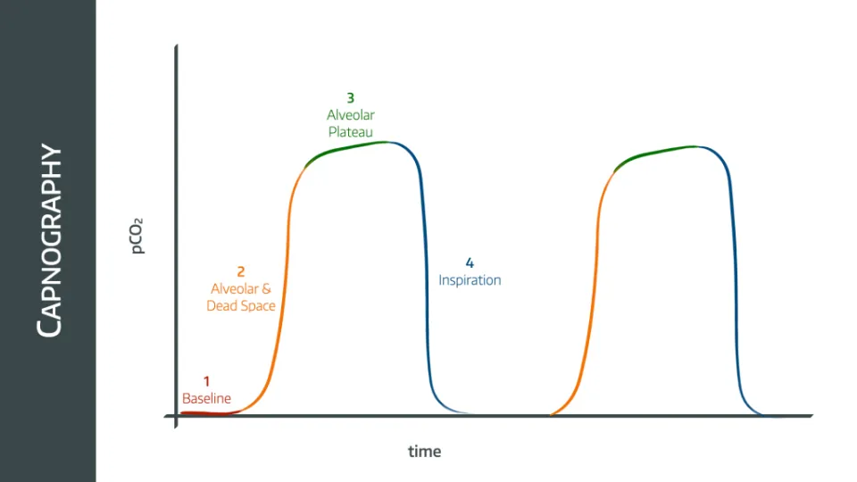 Capnography