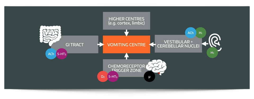 Antiemetics and PONV