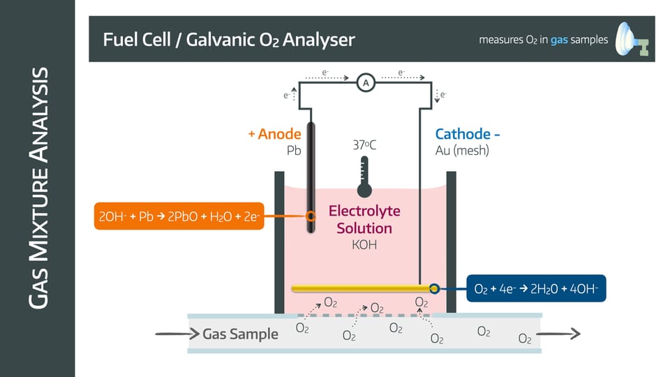 ABG and measuring gases