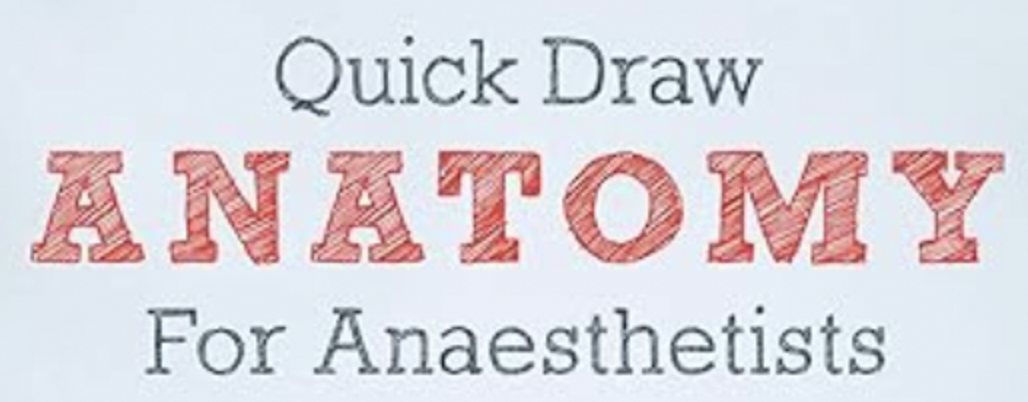 Anatomy - Hypothalamus and Pituitary