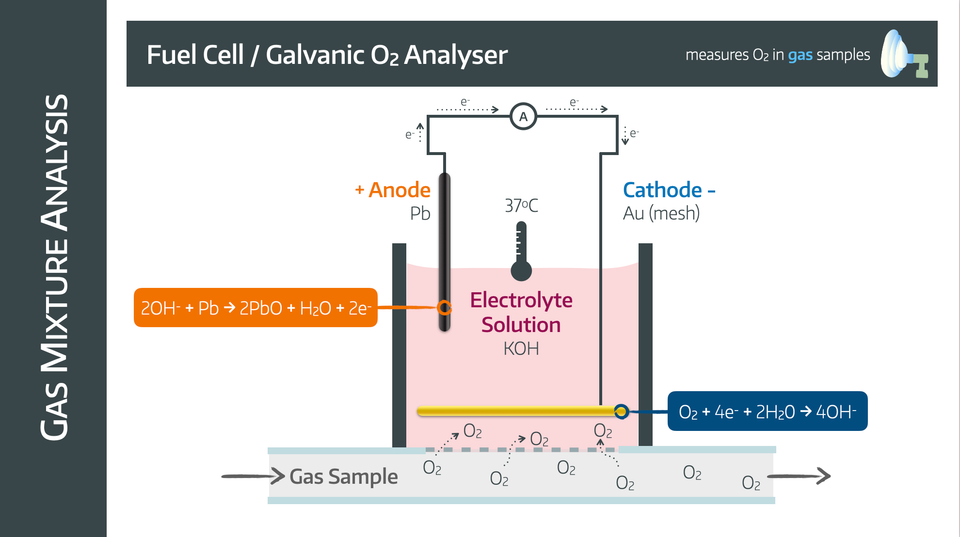 ABG and measuring gases